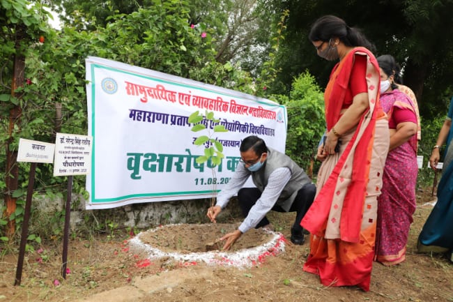 Tree plantation activity