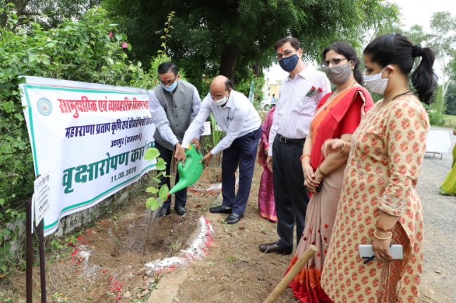 Tree plantation activity