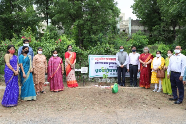 Tree plantation activity