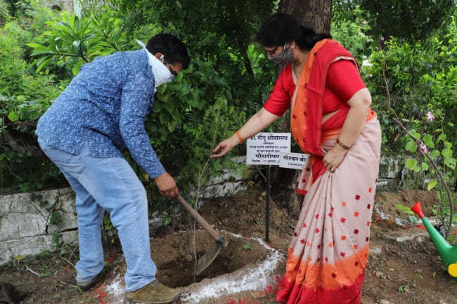 Tree plantation activity