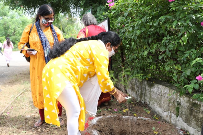 Tree plantation activity