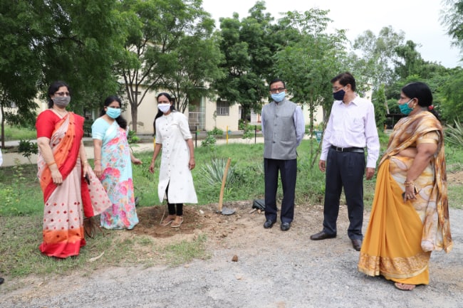 Tree plantation activity