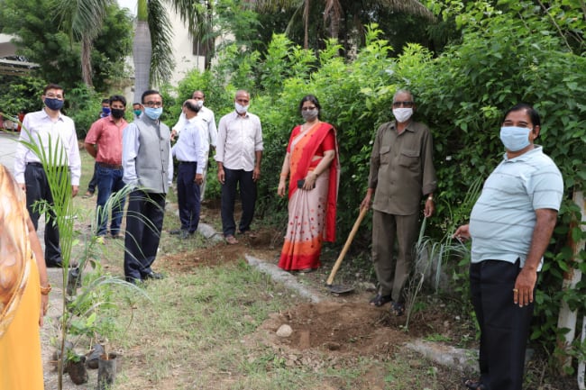 Tree plantation activity