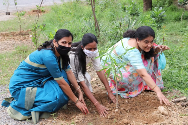 Tree plantation activity