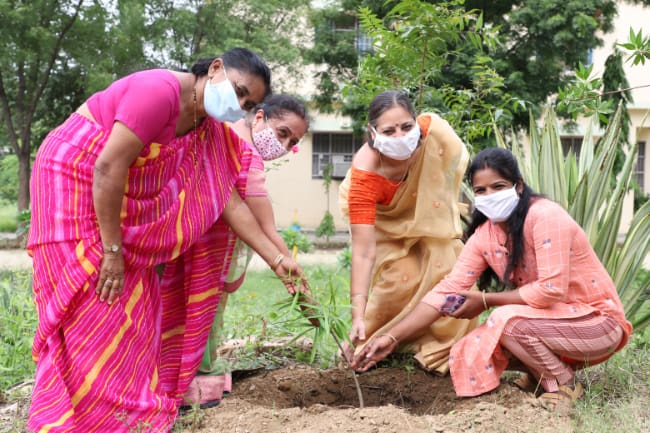 Tree plantation activity